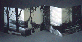 Photo of the book Landscape of Hope and Despair