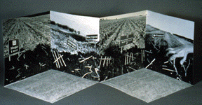 Photo of the book Landscape of Hope and Despair