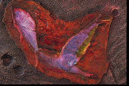 Eng yaxshi porno video porno sik Osiyo gey porno